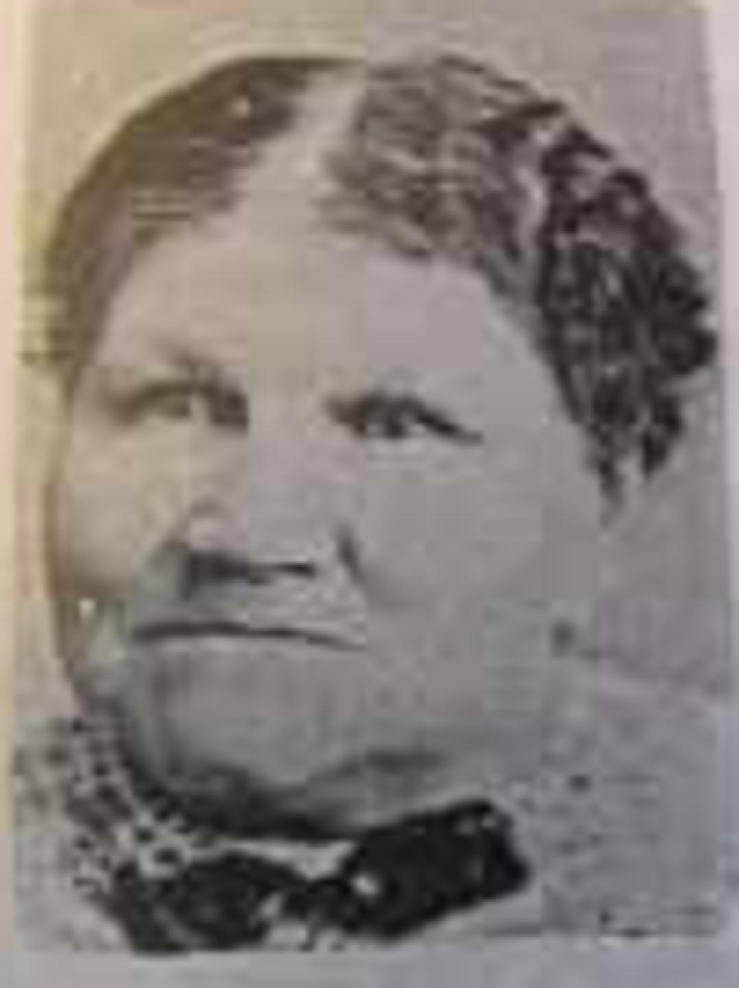 Maren Mathilda Castorine Nielsen Andersen (1850 - 1929) Profile